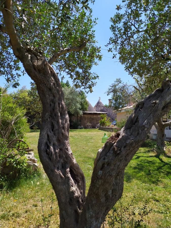 Trullo Galeotto Villa มาร์ตินาฟรังกา ภายนอก รูปภาพ